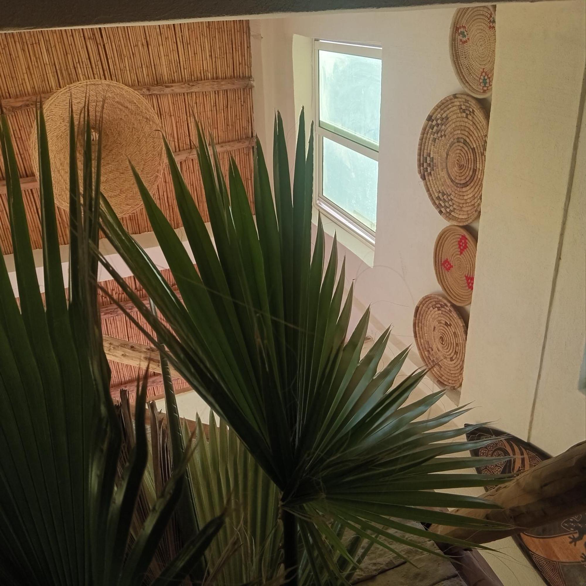 Moroccan Boho Surf House Agadir Eksteriør bilde